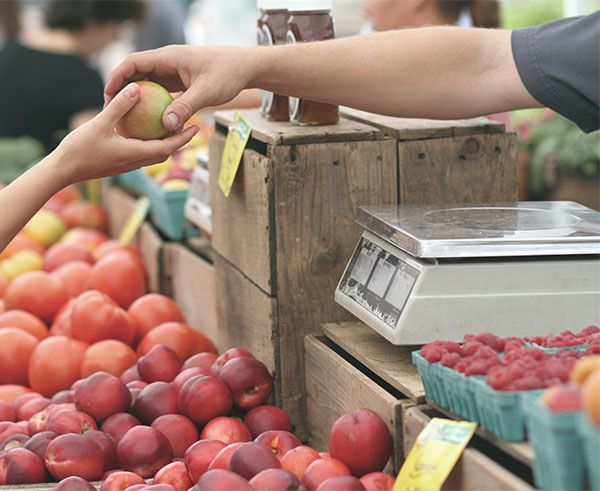 Grâce au CAP Services Aux Personnes et Vente en Espace Rural vous deviendrez employé·e qualifié·e Grâce au CAP Services Aux Personnes et Vente en Espace Rural vous deviendrez employé·e qualifié·e