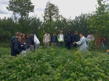 🧑🔧Le potager en 3ème 🌱
🍀Les élèves de 3eme sont allés en visite à la ferme des Merveilles à Plechâtel dans le cadre de L'ÉPI végétaux cultivés.
🍲Ils ont...