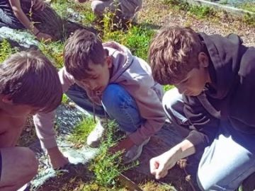Dans le cadre de la découverte professionnelle  et du projet cuisine du monde, les 3èmes découvrent en petit groupe le potager du lycée. 

Pour débuter...