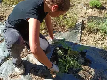 🌱 C'est reparti pour l'EPI végétaux cultivés ! 

Cette année un beau projet A la découverte des saveurs  attend nos élèves de 3eme.
Pour commencer, il faut...