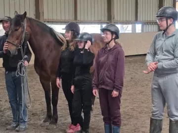 🐴✨ Clap de fin pour les élèves de 4ème B !
Après une dizaine de séances au centre équestre de La Ruée Vers l'Air, les élèves ont présenté leur spectacle...
